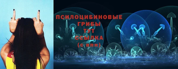 стаф Баксан