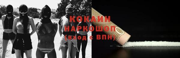 сатива Аркадак