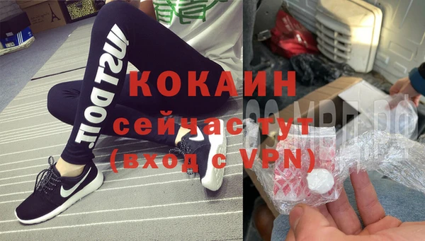 сатива Армянск