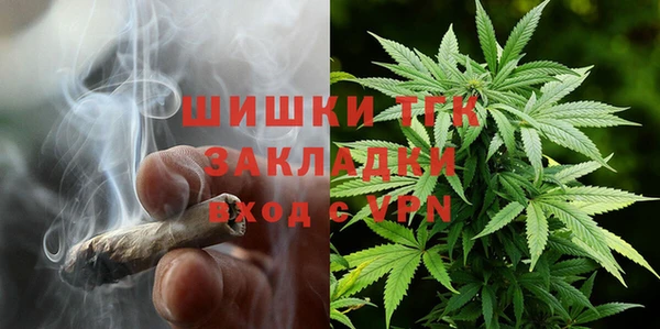 сатива Армянск