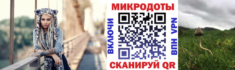 что такое наркотик  Билибино  Псилоцибиновые грибы Psilocybine cubensis 